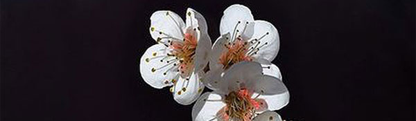 Coaching bij Maarten Stoffers Training & Coaching