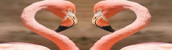 E-learning en blended learning door Maarten Stoffers Training & Coaching