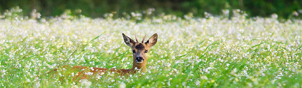 Team-coaching bij Maarten Stoffers Training & Coaching