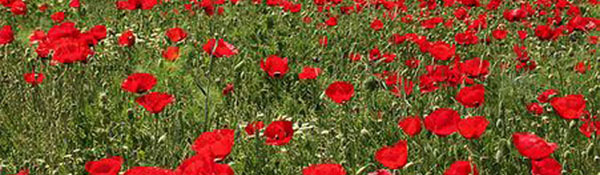 Trainingen en coaching voor artsen en verpleegkundigen bij Maarten Stoffers Training & Coaching