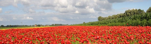 Training Leidinggeven van Maarten Stoffers Training & Coaching